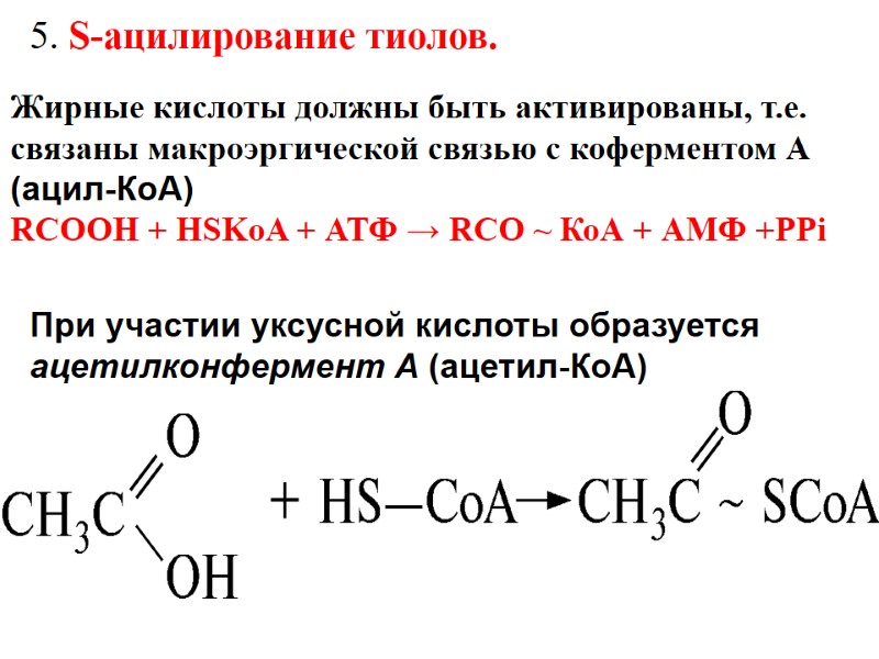 5. S-ацилирование тиолов. При участии уксусной кислоты образуется ацетилконфермент А (ацетил-КоА) Жирные кислоты должны